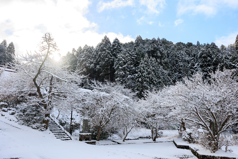 雪景色・福徳寺_f0155048_00190127.jpg