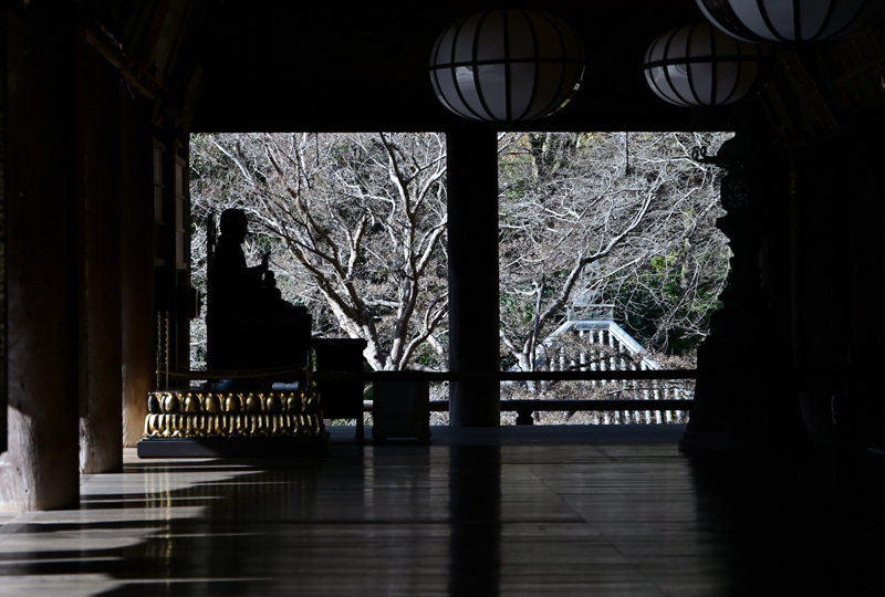 冬の長谷寺_e0164563_10033276.jpg