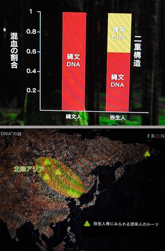 日本語の形成を探るための言語学以外の知見の整理（４）_e0030765_11175851.jpg