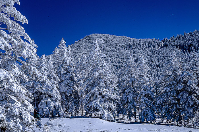 雪山　北八ヶ岳_c0153969_19281411.jpg