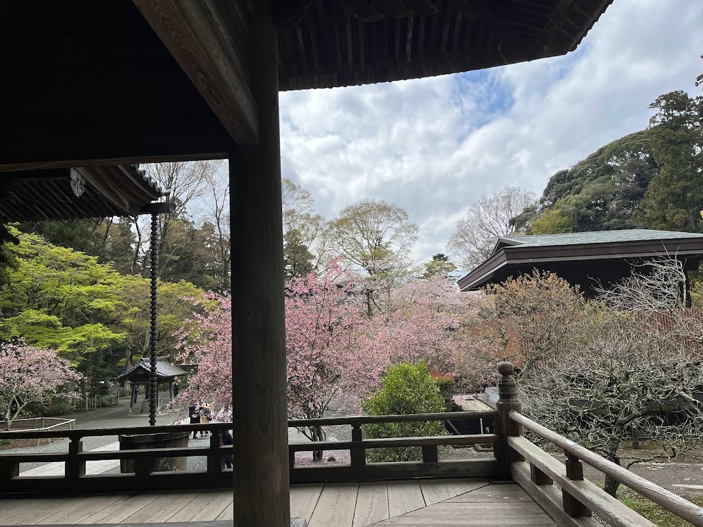 行くかどうか迷っていた（本阿弥光悦の大宇宙）に行ってみて、あまりのすごさに驚いた。これは見逃さないでよかったとつくづく思いました。（その2）_b0285619_18540046.jpg