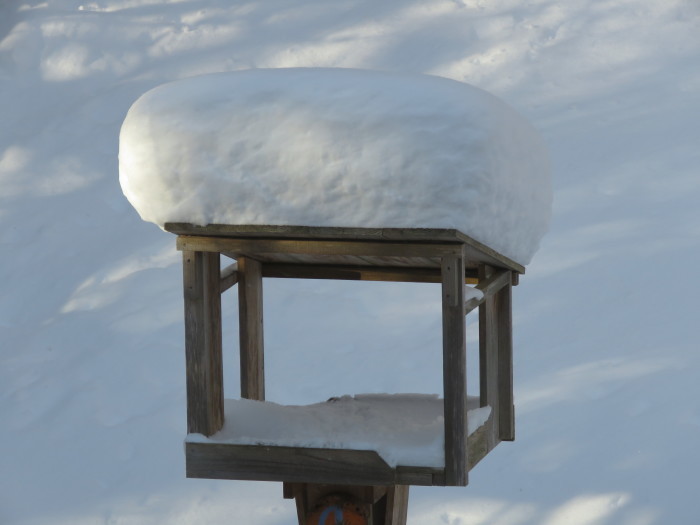 雪が降りました！_b0189727_08321025.jpg