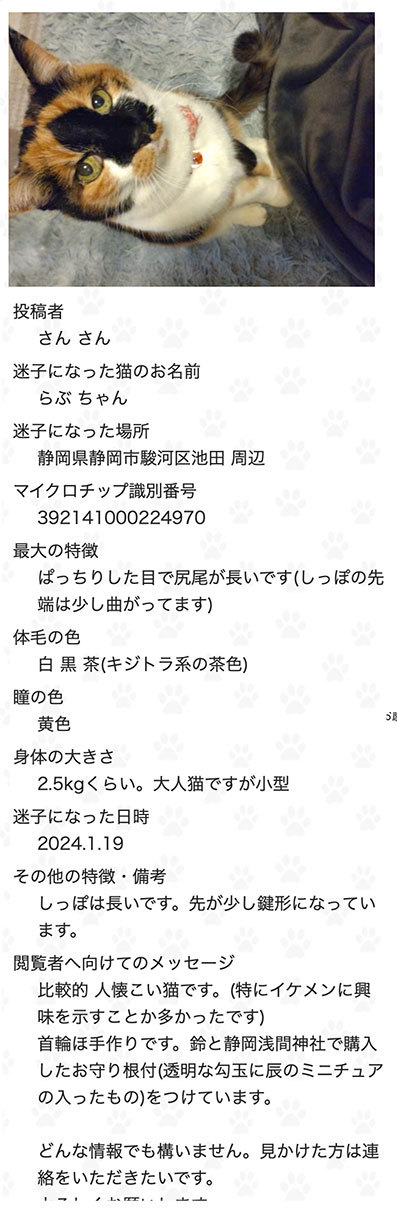 らぶちゃん行方不明！！捜索中＆つくしちゃん＆祝詞くん＆あんこときなこ : ひなたぼっこ