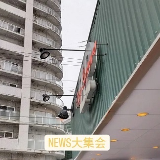 NEWSに逢いに行きました。_a0114514_11374677.jpg