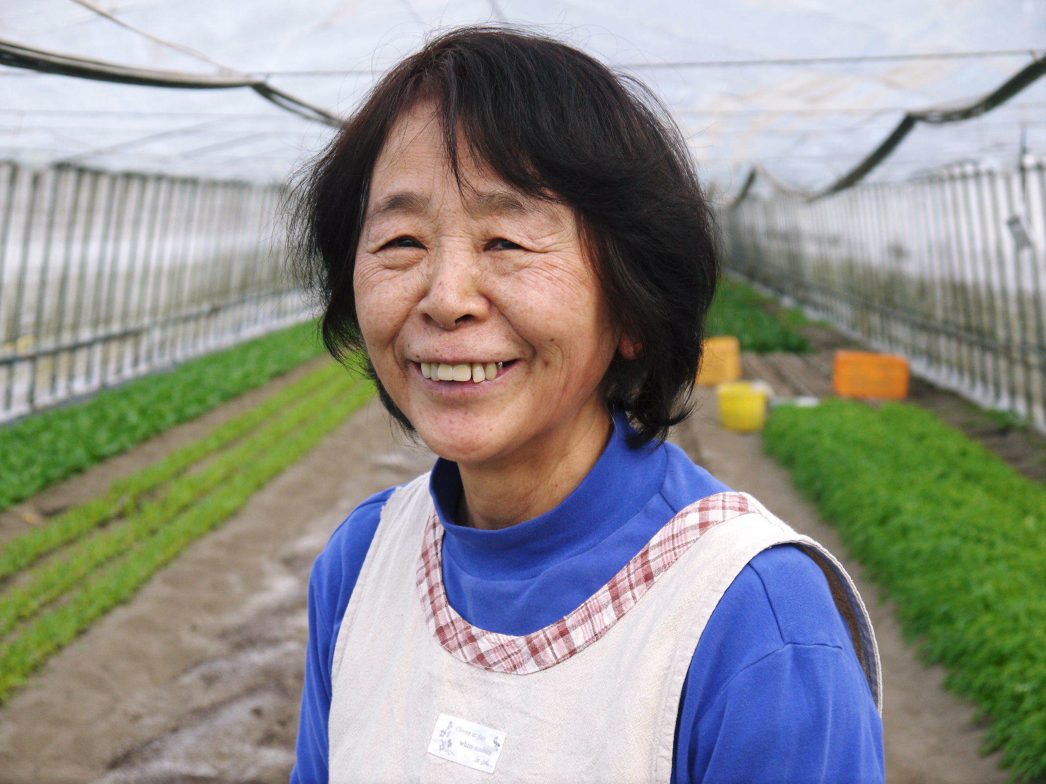 熊本県山鹿市菊鹿町で育てる水の杜の『安鮮野菜』の新規販売に向け現地取材をスタートしました！（前編） : ＦＬＣパートナーズストア