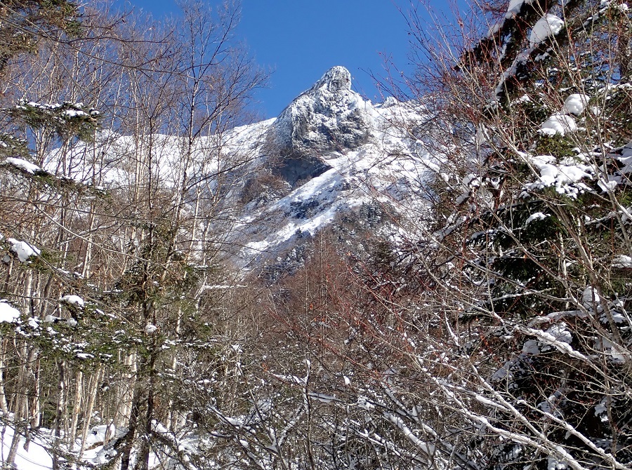 大同心稜～横岳（八ヶ岳）_e0351924_13491851.jpg