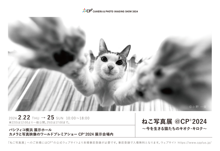 ねこ写真展 @CP+2024 ～今を生きる猫たちのキオク・キロク～ : ねこ写真展