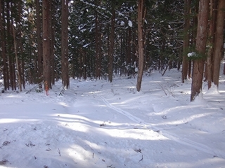 毘沙門岳南方の三ノ宿周辺でテレマーク_e0064783_15325197.jpg