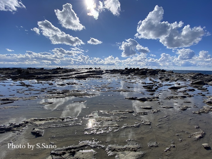 三浦半島の海岸をひたすら歩いて洞窟を探す_b0348205_16074715.jpg