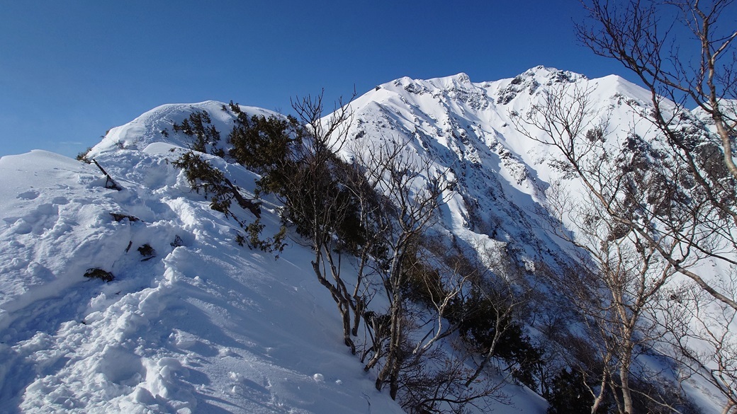 二匹目のドジョウは居なかった（転びまくり）_b0062024_07144993.jpg