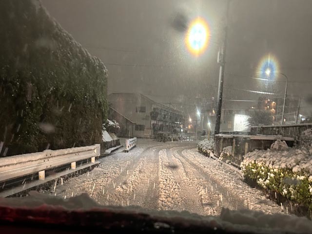 雪だー！_e0133780_21245908.jpg