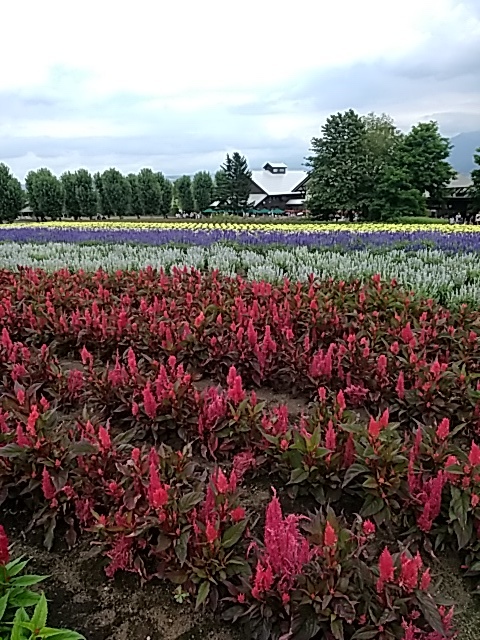 北海道旅行_f0231710_16430934.jpg