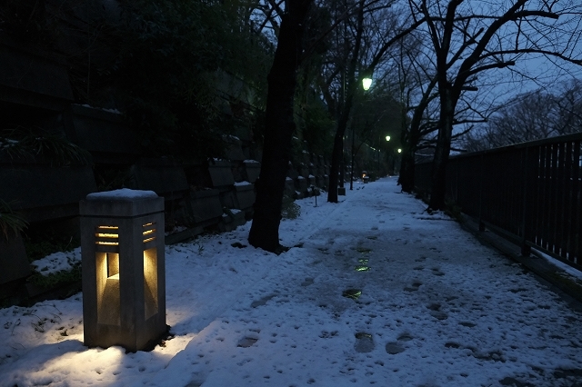  東京雪景色_f0050534_08030575.jpg