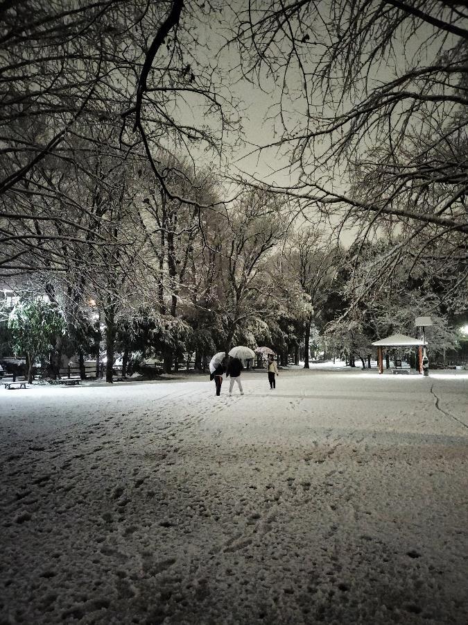 今夜の雪の散歩道_b0019960_02280180.jpg