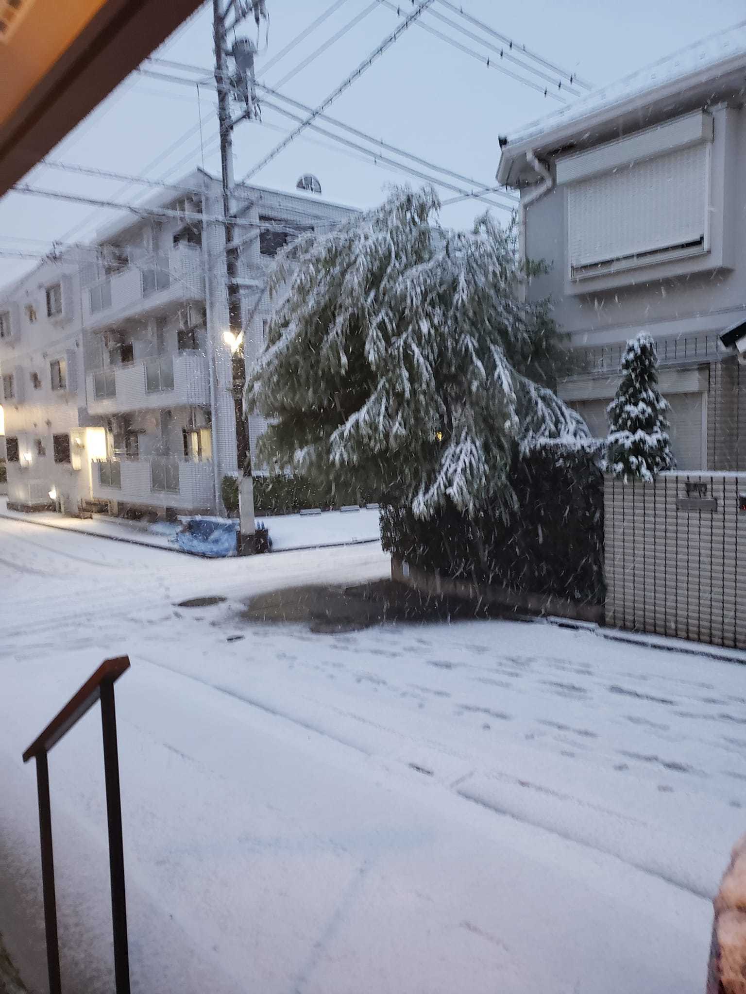 東京地方に大雪警報！_a0077673_20384120.jpg