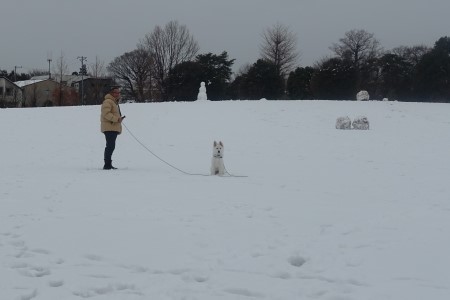 雪が積もりました_a0133484_09440346.jpg