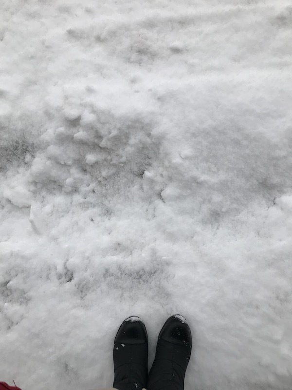 東京の雪、に思うこと。_f0358090_11390066.jpg