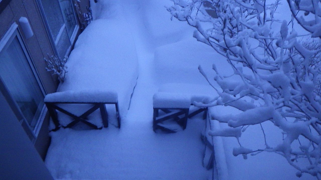 冬の終わり近くに今季最大の大雪_c0025115_20260764.jpg