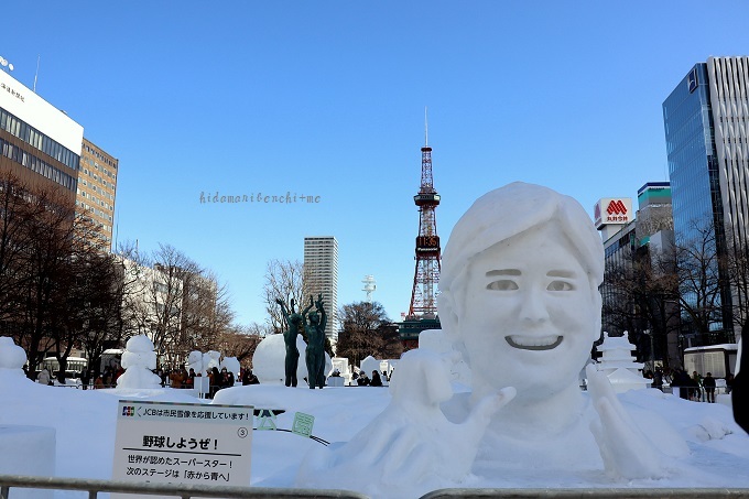 雪やこんこ　～風ちゃん日記③〜_a0323147_15315311.jpg