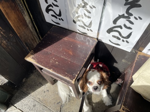 京都・祇園、冬はみそ団子、夏はちぎり餅のお団子屋さん。_b0170549_12573014.jpeg