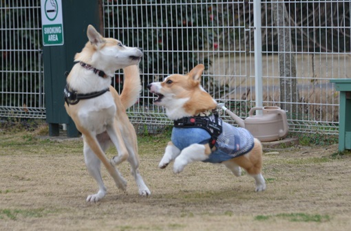 暖かな一日でした。_e0165922_19183285.jpg