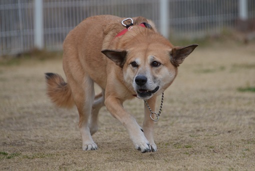 暖かな一日でした。_e0165922_19210597.jpg