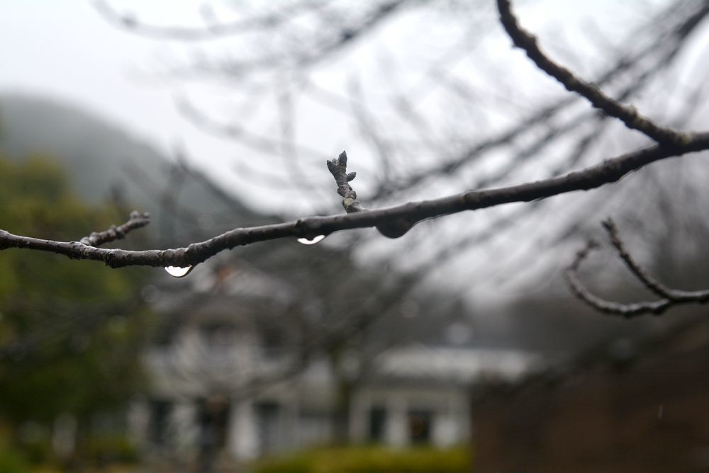 七条電停周囲の冬の雨_e0373930_21381476.jpg