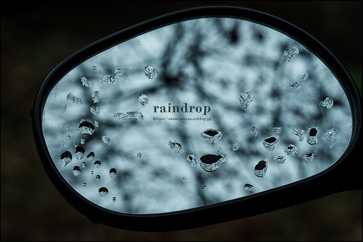 raindrop_f0100215_19550655.jpg