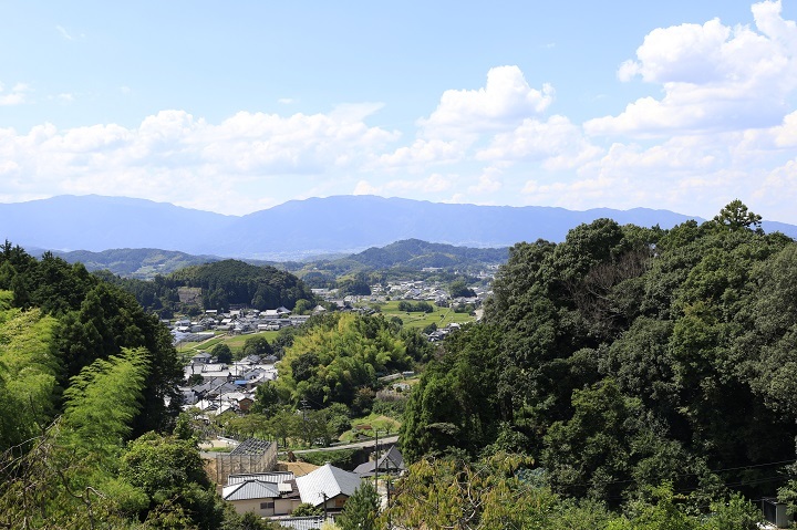 奈良を旅する　その3　岡寺（西国第七番・二巡目）_e0017051_21595493.jpg