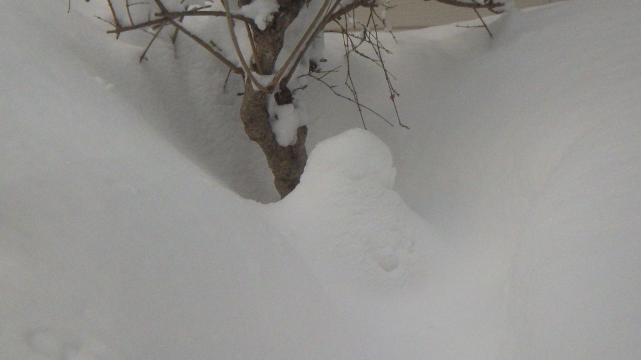 札幌の今朝までの積雪は記録的な45センチ_c0025115_21330368.jpg