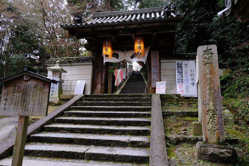 2024-2-20/22　自宅の庭に咲きだしたサクラソウ、伏見八幡神社、大和郡山市 松尾寺－河内長野市流谷の里、和泉リサイクル環境公園_a0216227_13074243.gif