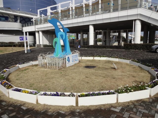 名古屋港水族館前花壇の植栽R6.2.20_d0338682_08185258.jpg