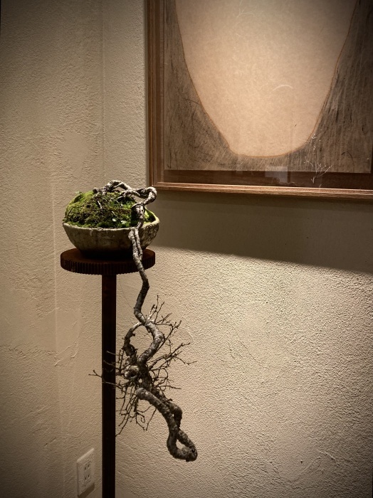 BONSAI SHIMAZU 2024（2月展）_f0202785_22570964.jpg