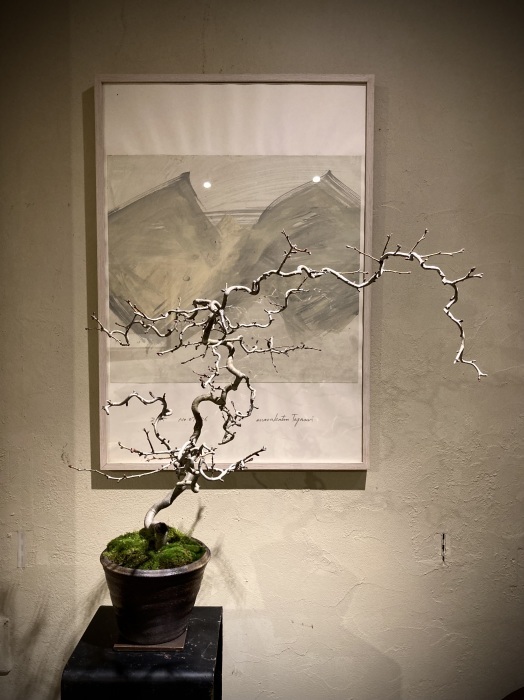 BONSAI SHIMAZU 2024（2月展）_f0202785_23011497.jpg