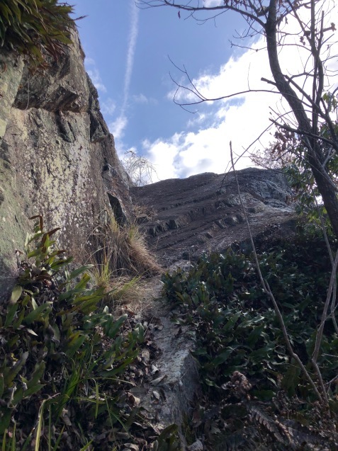 和気アルプス（薬師・八ッ峰コース〜新町コース下山〜ザイテングラート〜剣ヶ峰〜神ノ上山〜御大師山_f0197703_01292415.jpeg