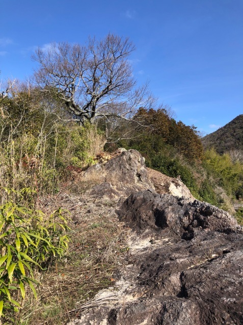 和気アルプス（薬師・八ッ峰コース〜新町コース下山〜ザイテングラート〜剣ヶ峰〜神ノ上山〜御大師山_f0197703_01345713.jpeg