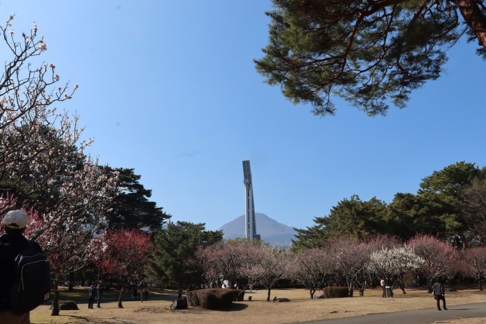 いろいろありました、別府公園(;´д｀)トホホ_b0175688_00383452.jpg