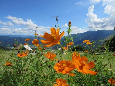 白馬岩岳マウンテンリゾートでまったり～。_b0143308_21485117.jpg