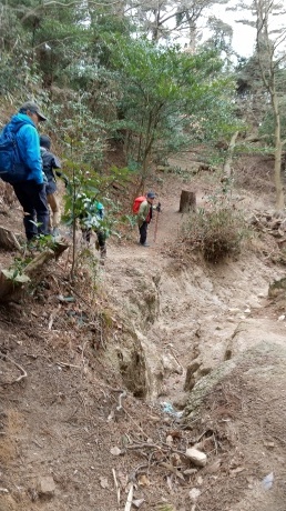 記念シリーズ山行「六甲山系の三角点50探訪」《第5回》　　　　　　　　　坊主山南・油コブシ・荒神山_c0218841_13432067.jpg