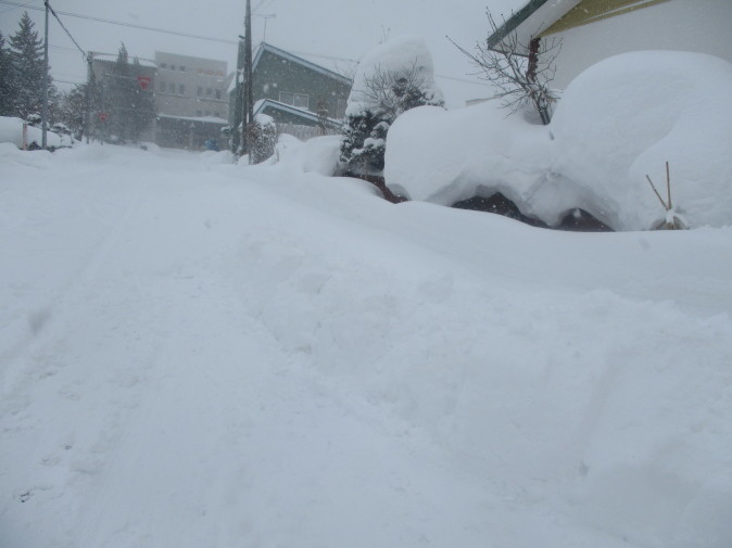 もう雪は要らないのに吹雪・・・&チラシでゴミ入れ作り_a0279743_13493726.jpg