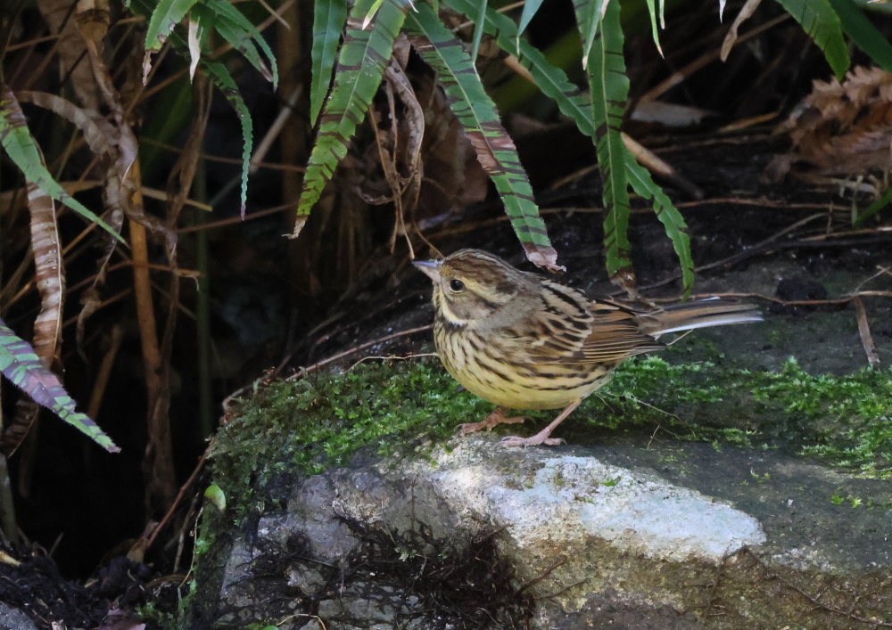 K山公園にて_c0114159_21242356.jpg