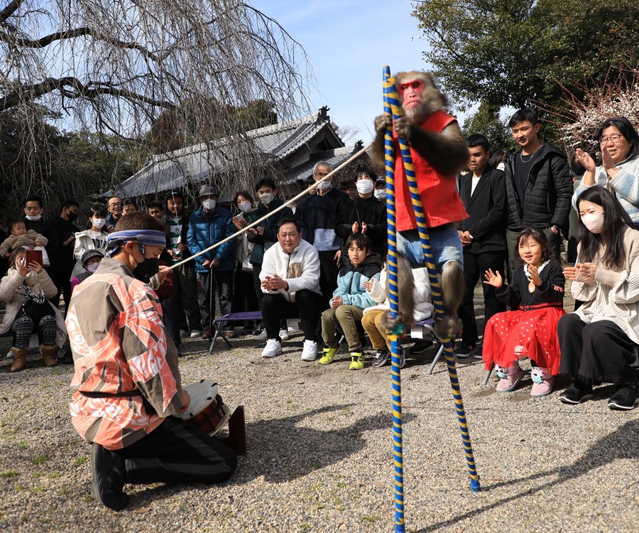 菅原神社（枝垂梅）_d0105098_17313572.jpg