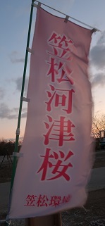 河津さくらと梅　　２０２４．０２．２７_f0148913_15271583.jpg