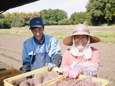 熊本県産サツマイモ(からいも）大好評販売中！令和6年の栽培スタート！種まきの様子を現地取材(前編)_a0254656_17510037.jpg