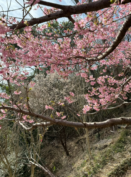 春はそこまで　&#127800;弥生　_e0024081_09104121.jpg