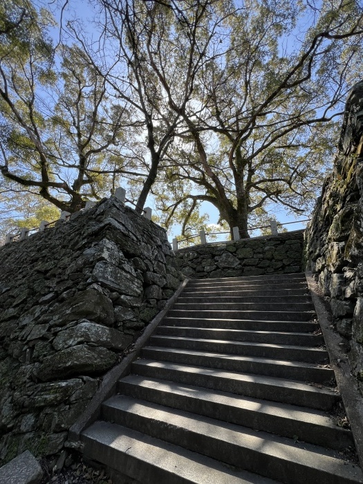 徳島城本丸跡までミニ登山_d0043390_22064196.jpeg