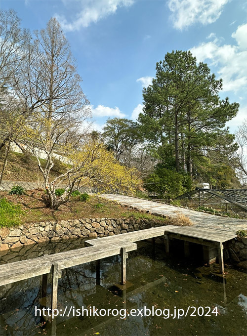 こぼるる梅の半田山植物園_a0223379_13371004.jpg