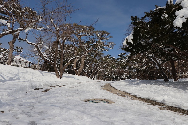 3月6日(水）　函館公園へ　2_b0250154_21081742.jpg