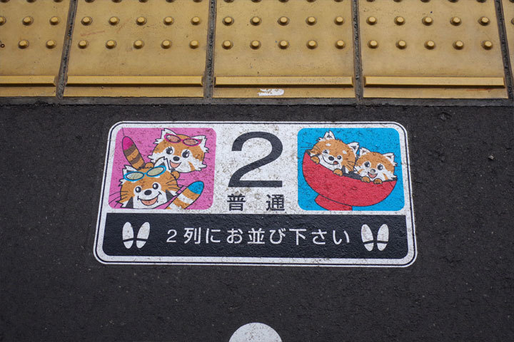 JR鯖江駅　ありがとう・・・　そして西山動物園へ_d0072106_09555396.jpg