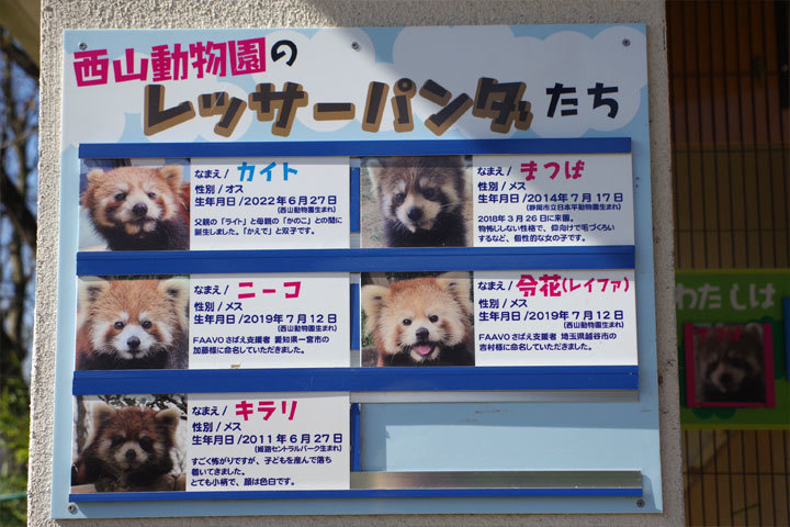 JR鯖江駅　ありがとう・・・　そして西山動物園へ_d0072106_12500878.jpg